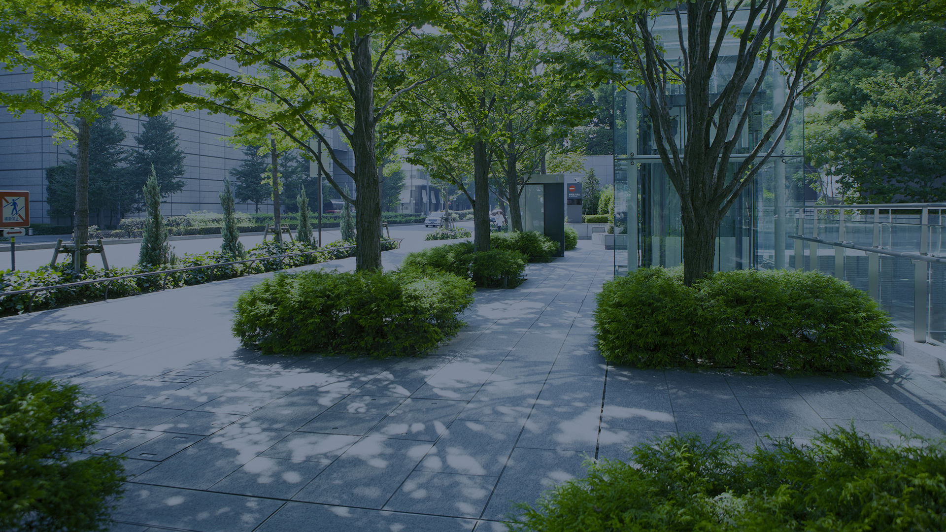green-urban-landscape-pavement