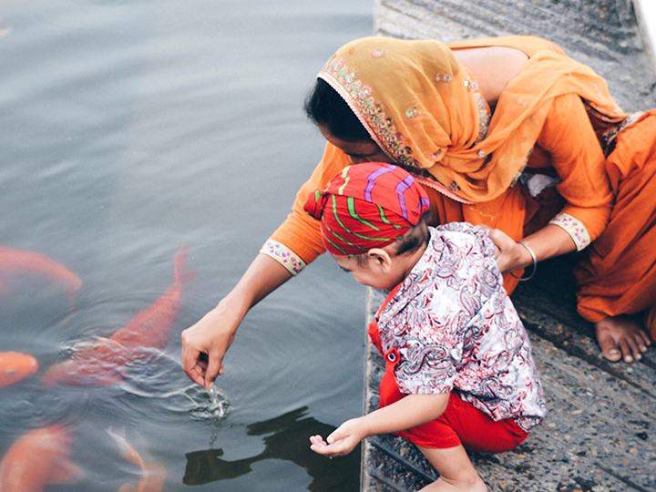 Boy with his mother playing with fishes in water