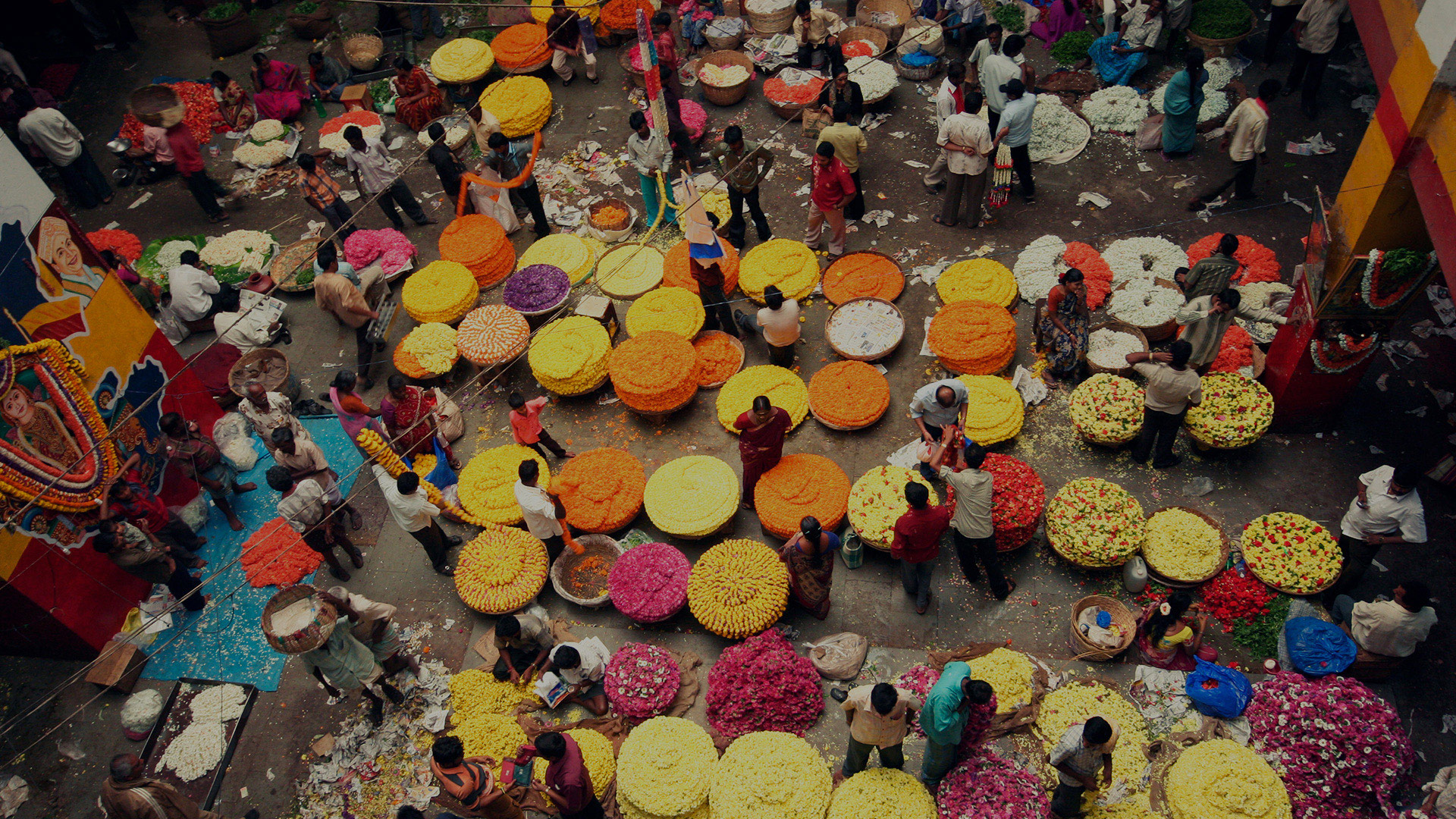 flower-market-india