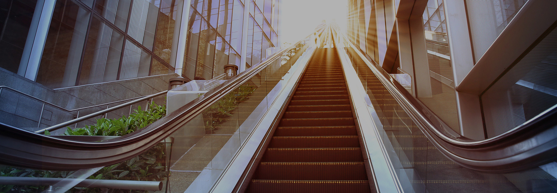 Low angle shot escalator with sunflair above