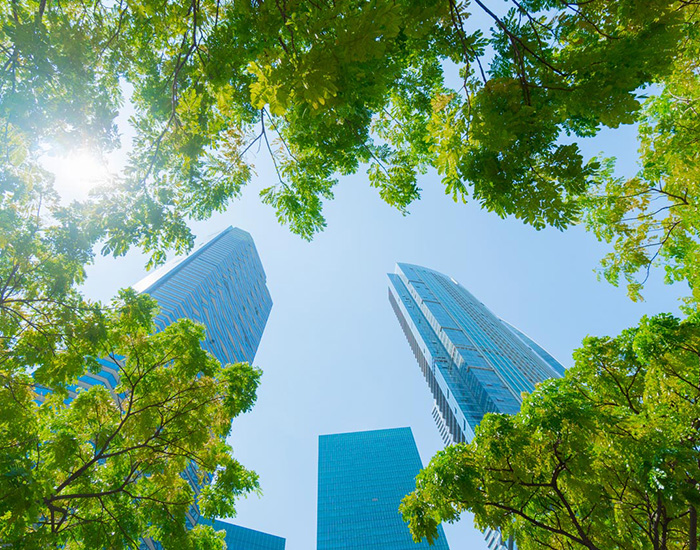 View of looking up at skyscrapers with green leaves all around
