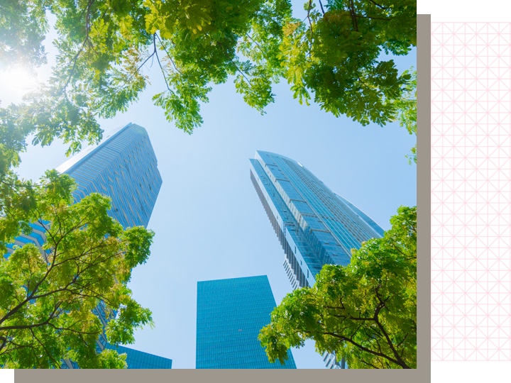 looking up at building sky and trees 