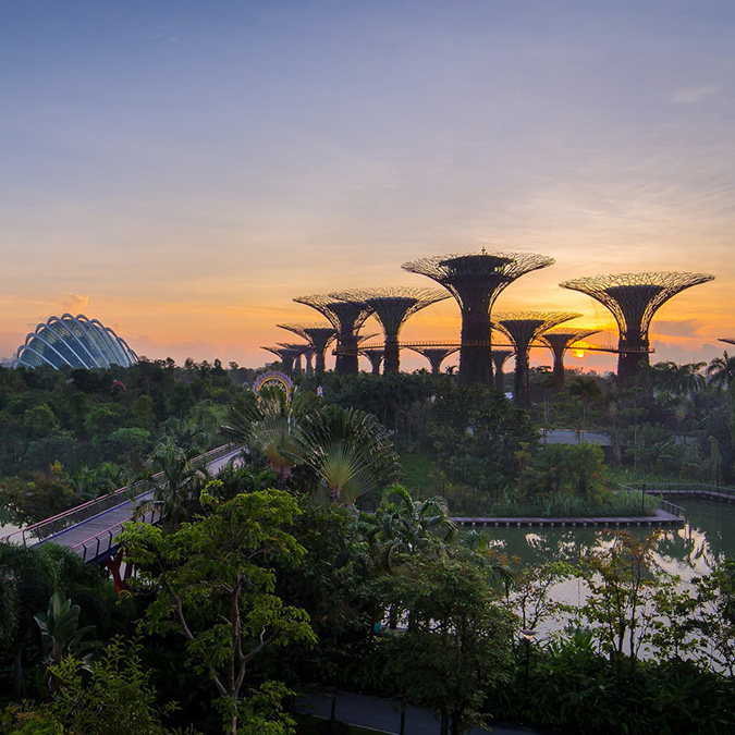 Gardens by the Bay