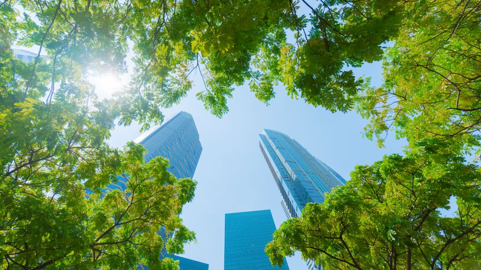 Image looking up at buildings thru trees