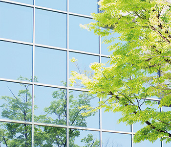 Tree and its reflection in the window of a building