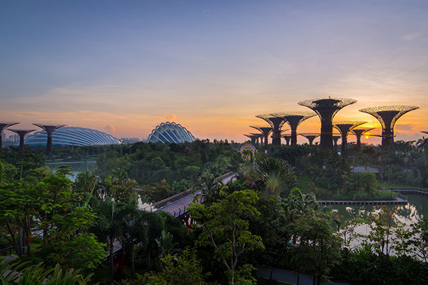 Gardens by the Bay