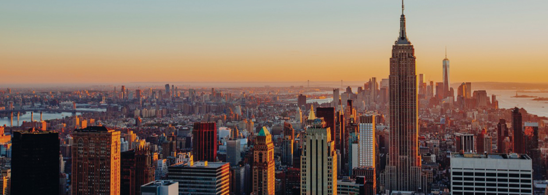 skyview of buildings